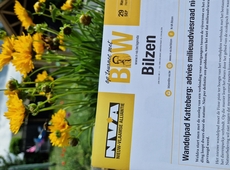 zomerblaadje